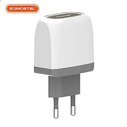 Dual Port Side Wall Charger