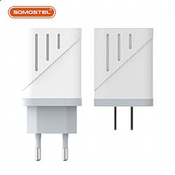5V2A Stripe White and Gray Dual USB Port Wall Charger